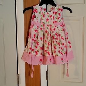 3t strawberry dress